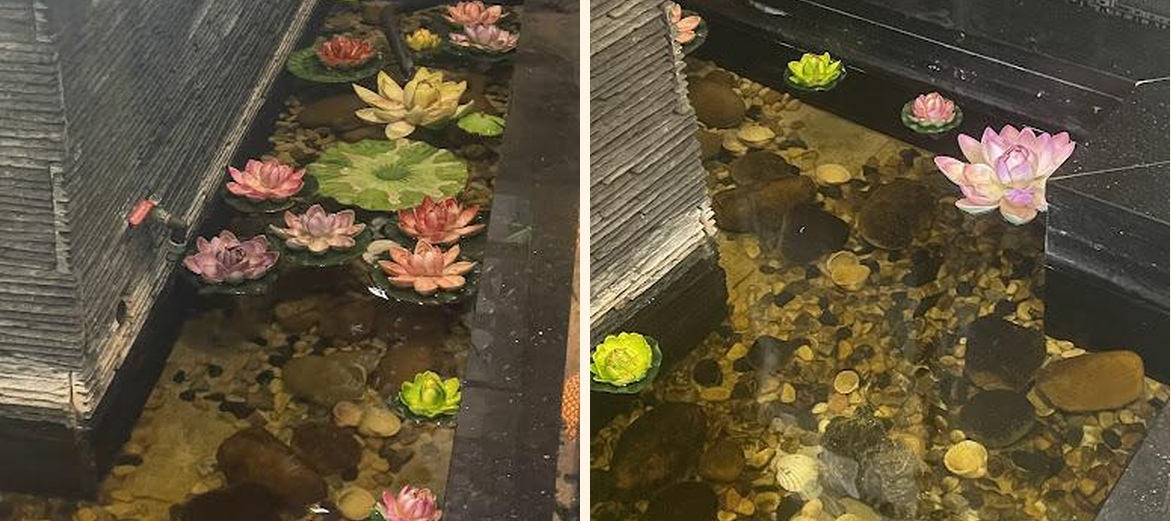 Restaurant Lotus Bleu - Gallery Image 6